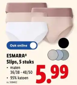 Lidl Slips, 5 stuks aanbieding