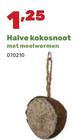 Happyland Halve kokosnoot met meelwormen aanbieding