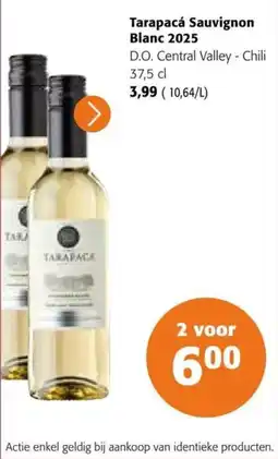 Colruyt Tarapacá Sauvignon Blanc 2025 aanbieding