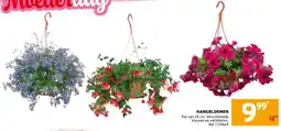 Trafic Hangbloemen aanbieding