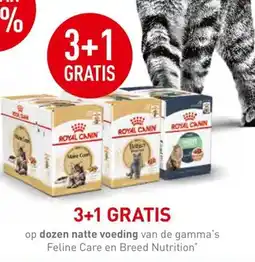 Maxi Zoo Royal canin breed nutrition cat food aanbieding