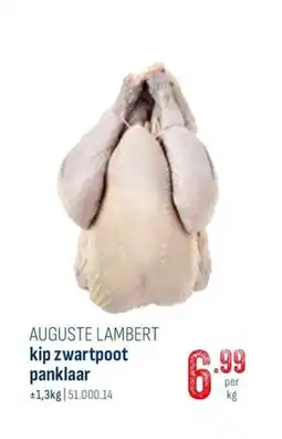 Horeca totaal Auguste lambert kip zwartpoot panklaar aanbieding