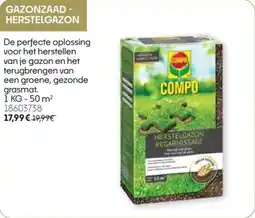 HandyHome Gazonzaad herstelgazon aanbieding