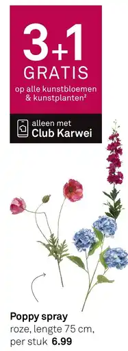 Karwei Poppy Spray aanbieding