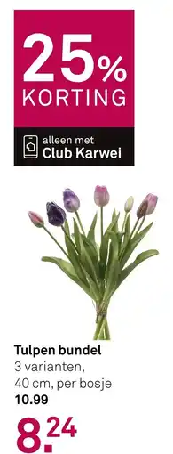 Karwei Tulpen Bundel aanbieding