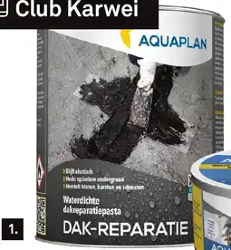 Karwei Aquaplan Dak-reparatie aanbieding