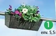 Norma Jardinière pour balcon aanbieding