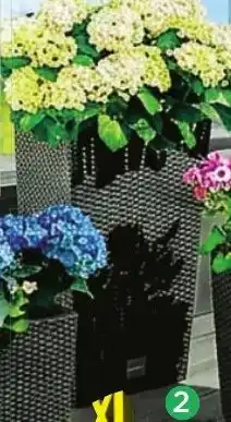 Norma Colonne à plantes XL aanbieding