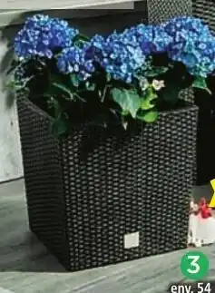 Norma Pot de fleurs aanbieding