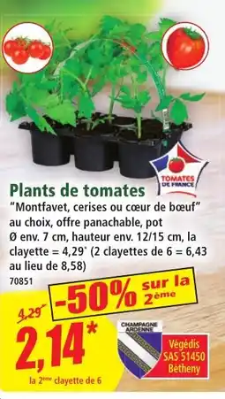 Norma Plants de tomates aanbieding