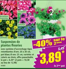 Norma Suspension de plantes fleuries aanbieding