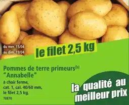 Norma Pommes de terre primeurs "Annabelle" aanbieding