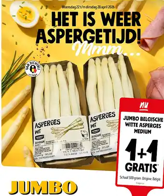 JUMBO BELGISCHE WITTE ASPERGES MEDIUM