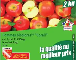 Norma Pommes bicolores Corail aanbieding