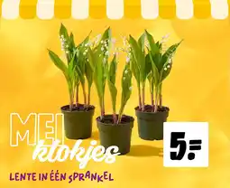 Jumbo LENTE IN ÉÉN SPRANKEL aanbieding