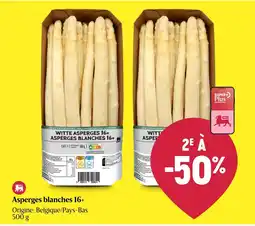 Delhaize Asperges blanches 16+ aanbieding