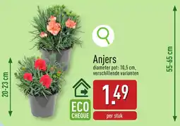 ALDI Anjers aanbieding