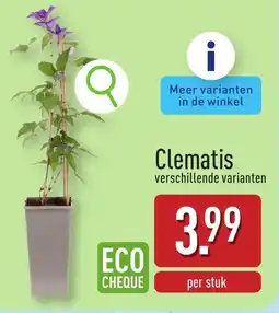 ALDI Clematis aanbieding