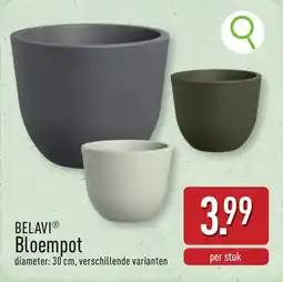 ALDI Belavi bloempot aanbieding