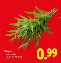 Lidl Dragon aanbieding