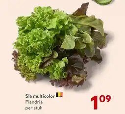 OKay Sla multicolor aanbieding