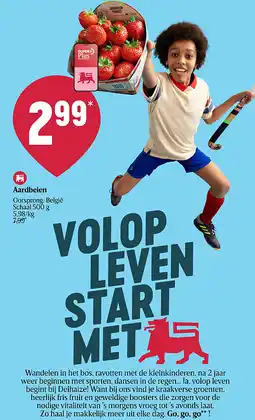Delhaize Aardbeien aanbieding
