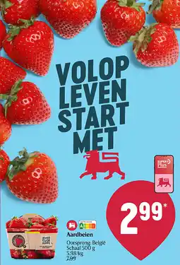 Delhaize Aardbeien aanbieding