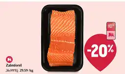 Delhaize Zalmforel aanbieding