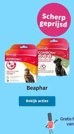 Plein.nl Beaphar aanbieding