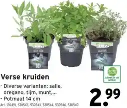 GAMMA Verse kruiden aanbieding