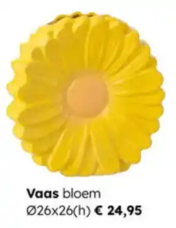 Multi bazar Vaas Bloem aanbieding