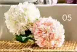 Multi bazar Bleom Hortensia aanbieding