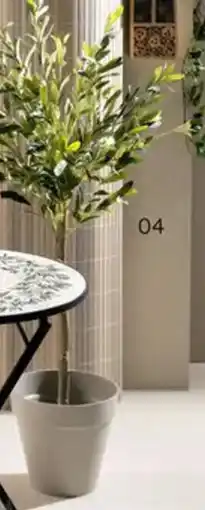 Multi bazar Olijfboom in pot aanbieding