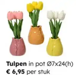 Multi bazar Tulpen in Pot aanbieding
