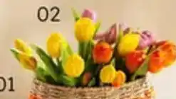 Multi bazar Boeket Tulpen aanbieding