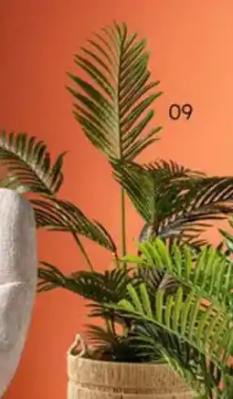 Multi bazar Palmboom in Pot aanbieding