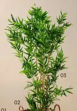 Multi bazar Bamboe in pot Groen aanbieding