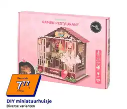 Action DIY miniatuurhuisje aanbieding