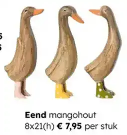 Multi bazar Eend Mangohout aanbieding
