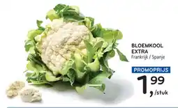 Alvo Bloemkool extra aanbieding