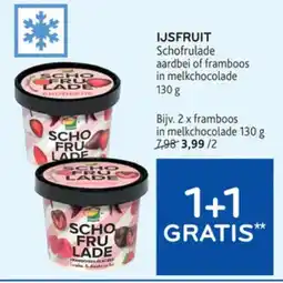 Alvo Ijsfruit Schofrulade aanbieding