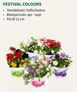 Horta Festival Colours aanbieding