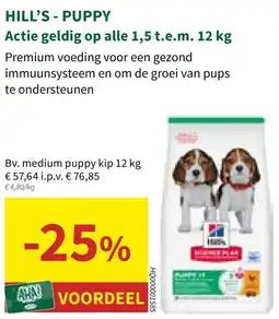Horta Hill's - puppy aanbieding