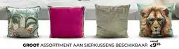 Euroshop Groot assortiment aan sierkussens beschikbaar aanbieding