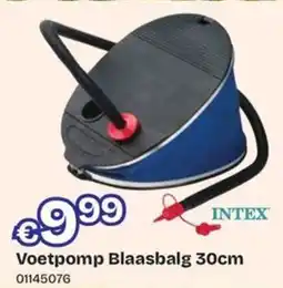 ToyChamp Intex Voetpomp Blaasbalg aanbieding