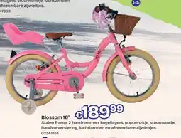 ToyChamp Blossom 16" aanbieding