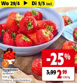 Colruyt Hoogstraten aardbeien 500 g aanbieding