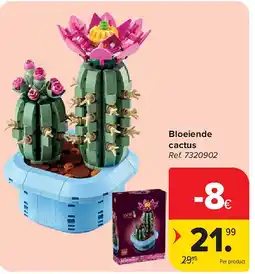 Carrefour Bloeiende cactus aanbieding