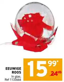 Trafic Eeuwige roos aanbieding