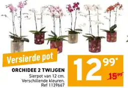 Trafic Orchidee 2 twijgen aanbieding